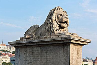 AMD RX 6600系列显卡全线涨价：最多达500元